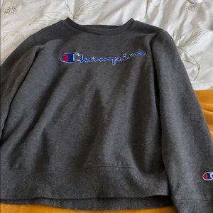 Champion sweatshirt